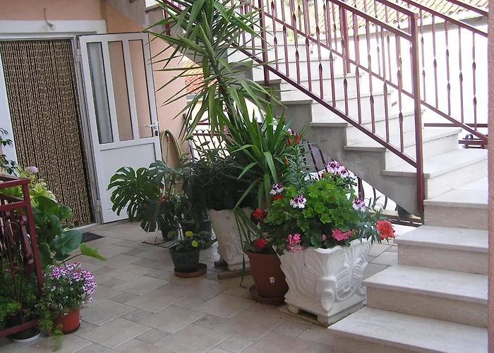Guest Accomodation Zura